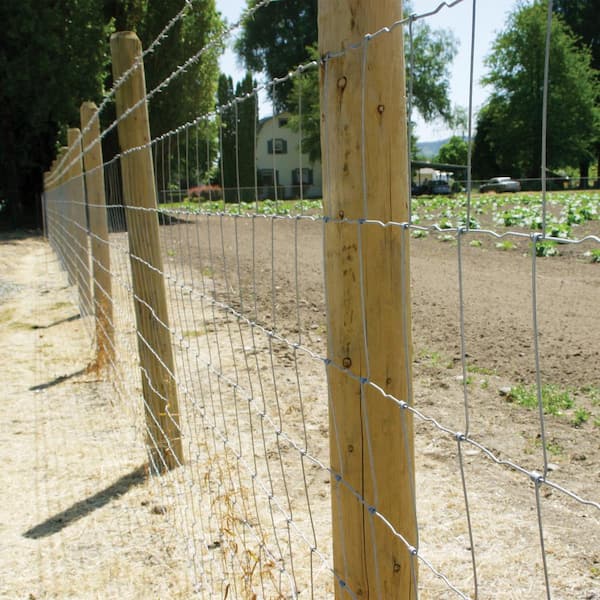 Farm Fence